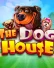 the dog house